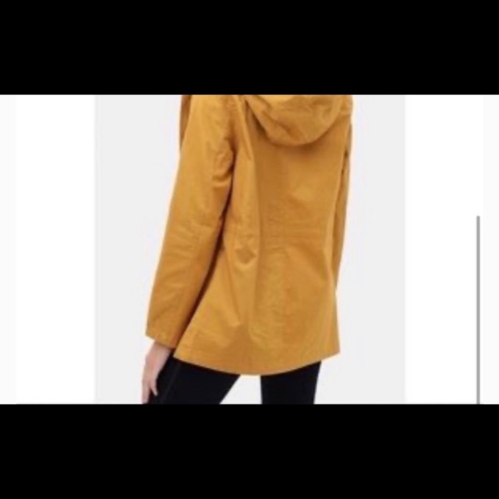 Yellow jacket - Picture 2 of 2